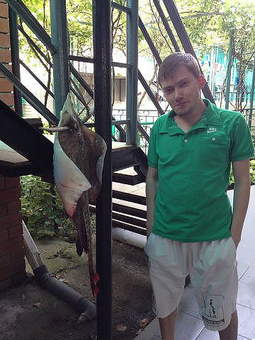 Это Я)))))))))))