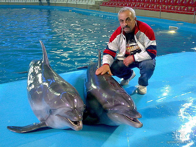 Это мои друзья