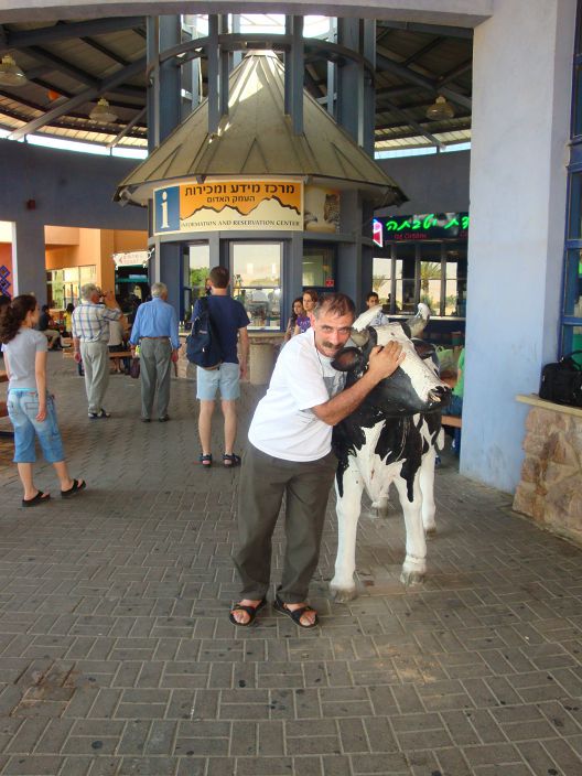 Корова и Я