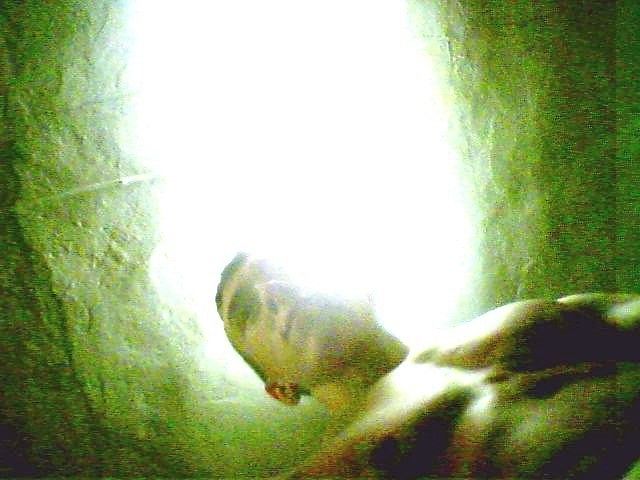 мои фото