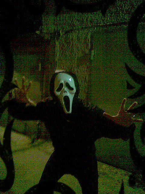 http://cs14.meendo.com/photo/4/9/9/0f92beec4e0106f2b7588