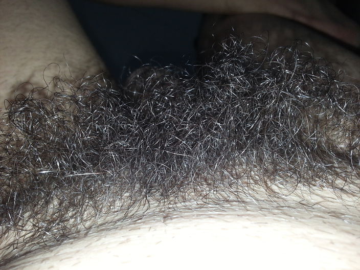 hairy cock