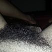 hairy cock