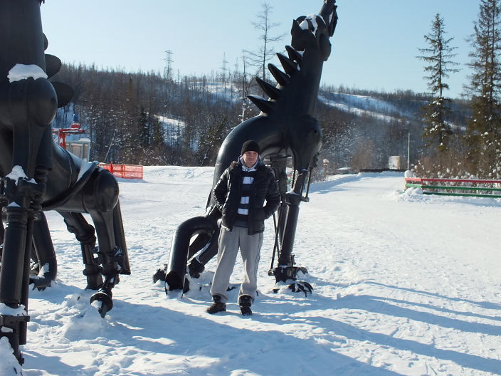 горнолыжка