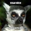 узбагойтесь