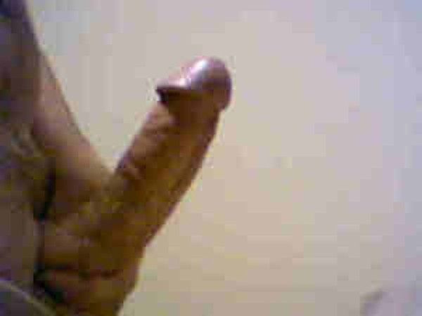 my cock