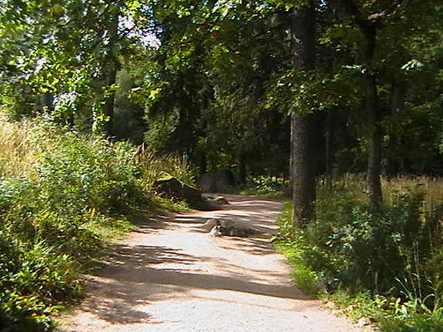 дорогой дальнею