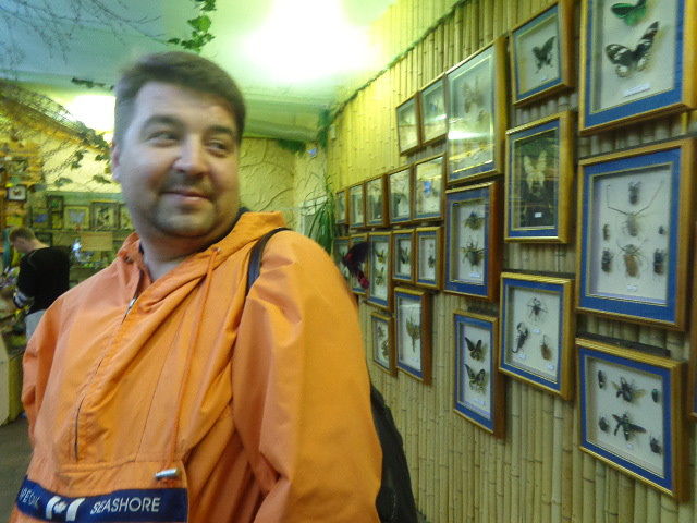 люблю бабочек