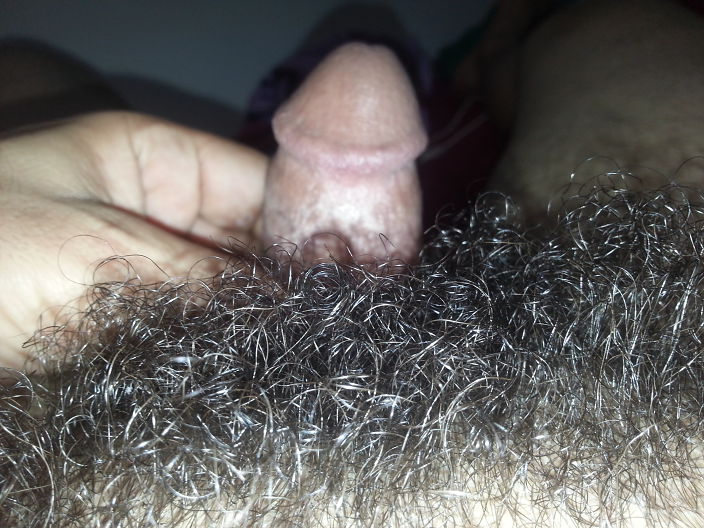 hairy cock