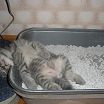 Отдыхаю