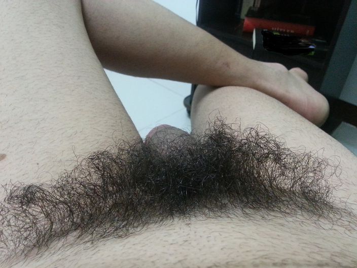 hairy cock