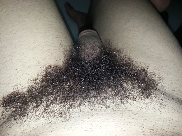 hairy cock