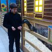Алистер