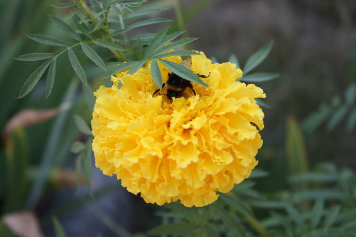 яяяяяяяяяяяя