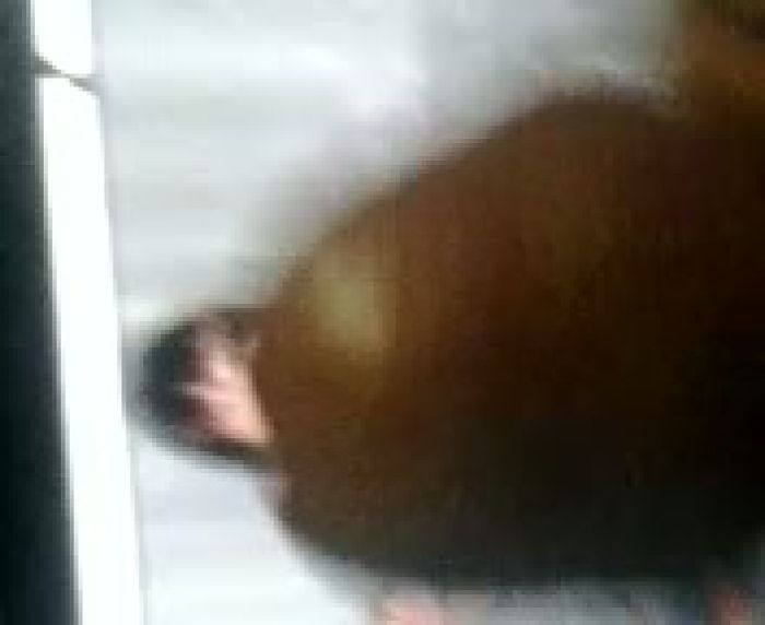 это тебе натали