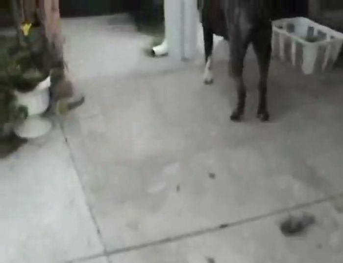 Blonde cheerleader gets fucked hard