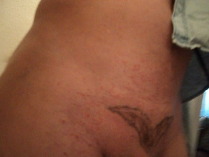 А чайке хочется взлететь