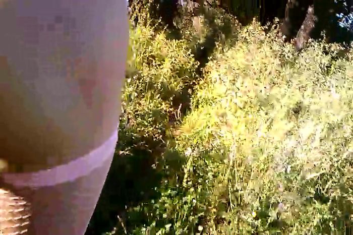 прогулка на прирроде в женском