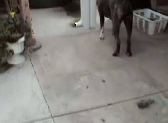 Wannabe cheerleader gets fucked